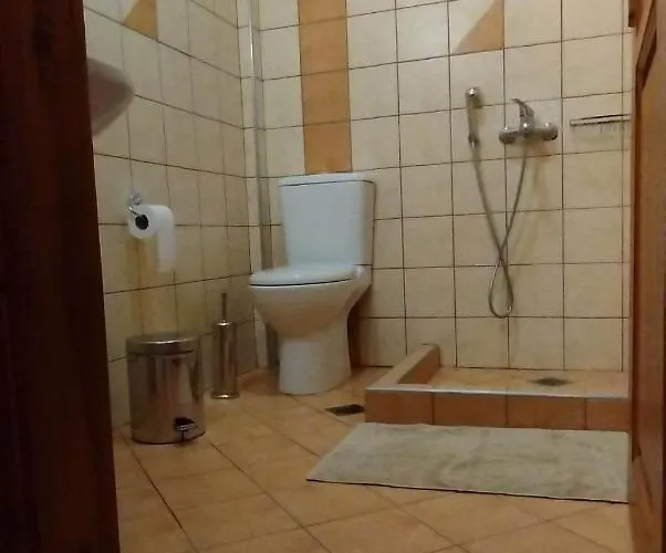 ゲストハウス ερυκίνη 3*